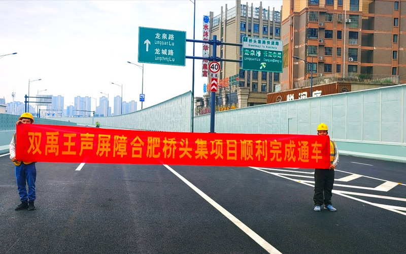 2023年-桥头集路（包公大道-龙城路）快速化改造工程